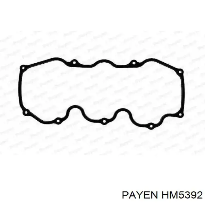 HM5392 Payen