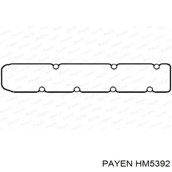 7701479111 Renault (RVI) Прокладка крышки двигателя комплект