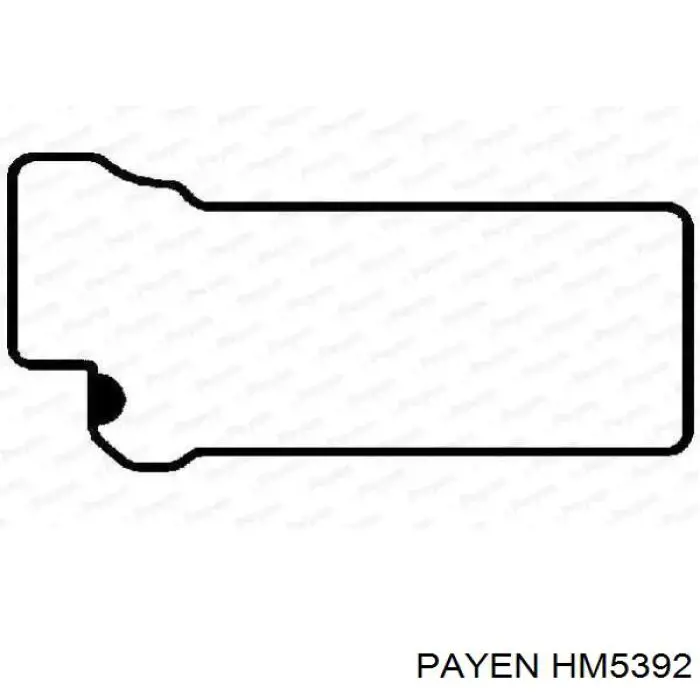 Купить HM5392 Payen Комплект прокладок крышки клапанов
