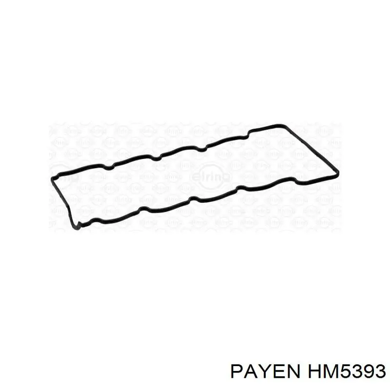 HM5393 Payen прокладка клапанной крышки двигателя, комплект