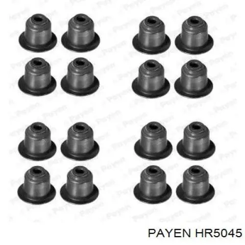 HR5045 Payen сальник клапана (маслосъемный, впуск/выпуск, комплект на мотор)