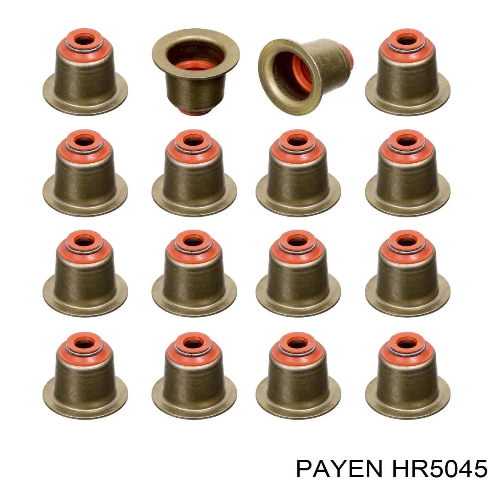 Купить HR5045 Payen Маслосъемный колпачок (сальник клапана) впуск/выпуск, комплект на мотор