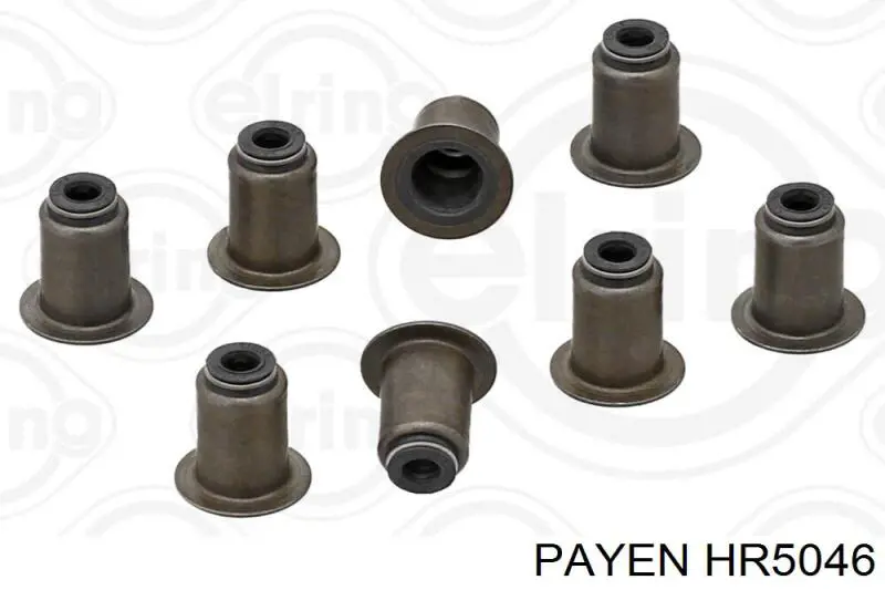 HR5046 Payen