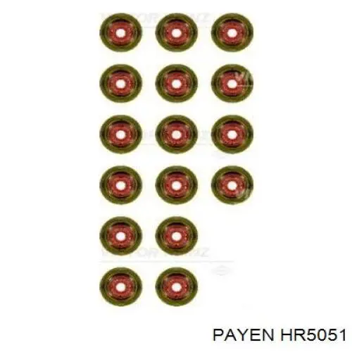 Купить HR5051 Payen Маслосъемный колпачок (сальник клапана) впуск/выпуск, комплект на мотор