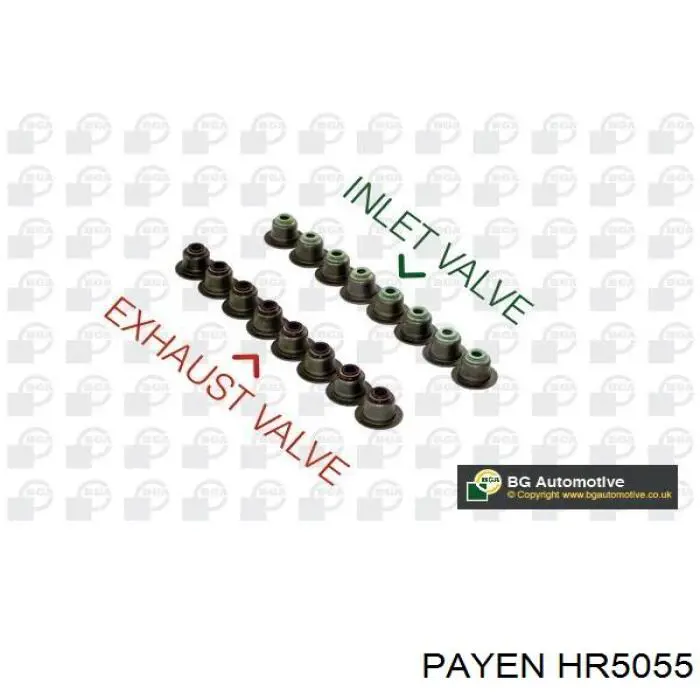 HR5055 Payen сальник клапана (маслосъемный, впуск/выпуск, комплект на мотор)