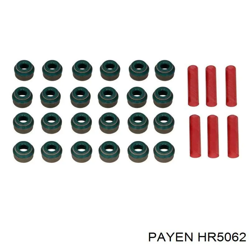 HR5062 Payen сальник клапана (маслосъемный, впуск/выпуск, комплект на мотор)