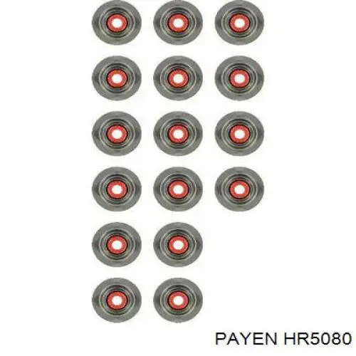 HR5080 Payen сальник клапана (маслосъемный, впуск/выпуск)