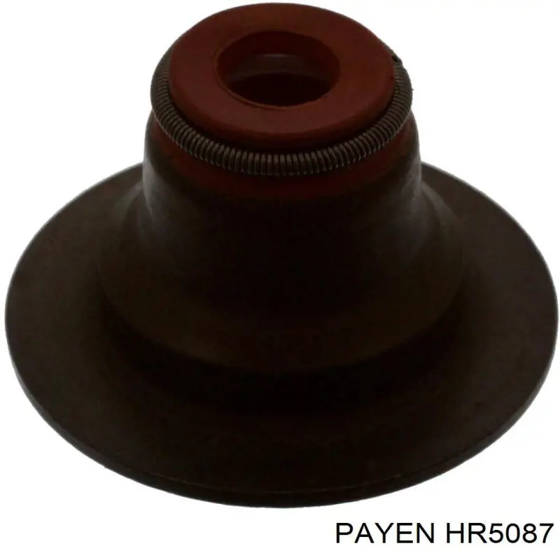 HR5087 Payen