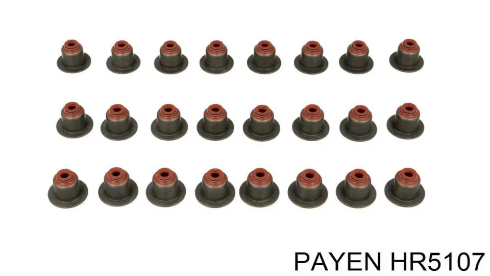HR5107 Payen сальник клапана (маслосъемный, впуск/выпуск, комплект на мотор)