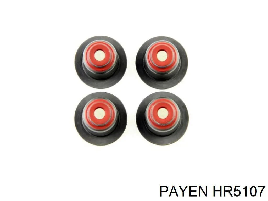 HR5107 Payen