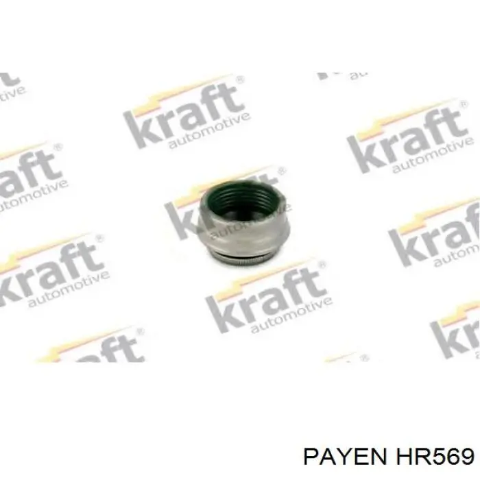 Сальник клапана (маслознімний), впуск/випуск, комплект на мотор HR569 Payen