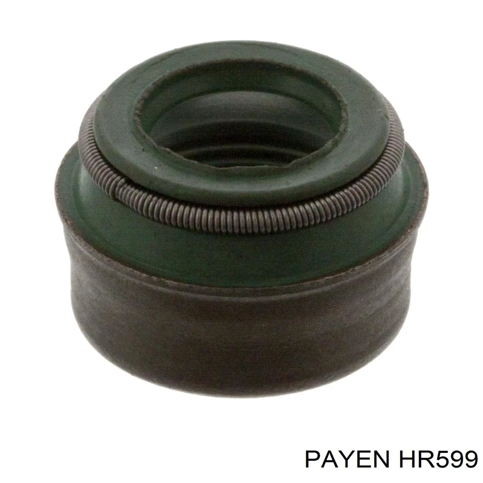 Сальник клапана (маслосъемный), впуск/выпуск Payen HR599