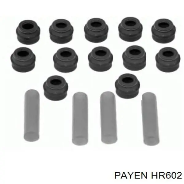 Сальник клапана впуск/выпуск, комплект на мотор Payen HR602