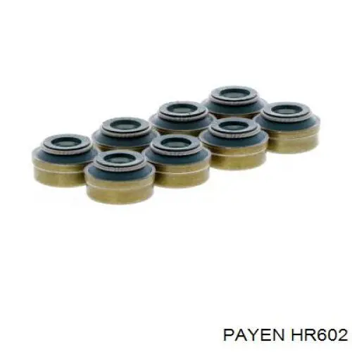 Купить HR602 Payen Маслосъемный колпачок (сальник клапана) впуск/выпуск, комплект на мотор