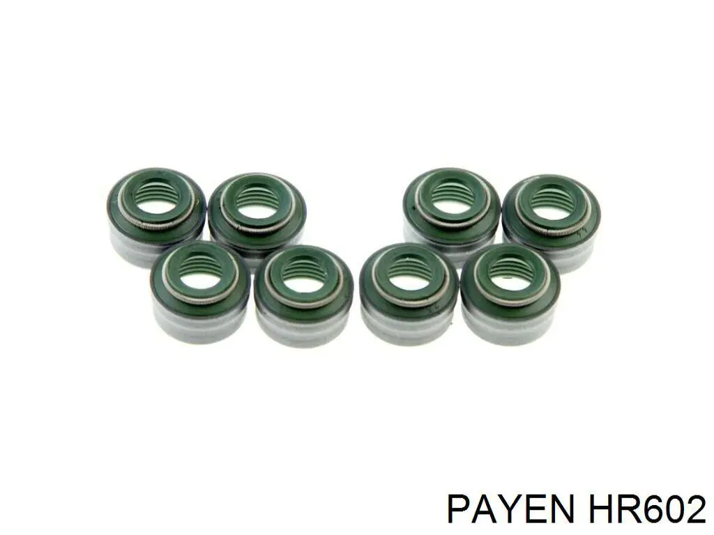 HR602 Payen сальник клапана (маслосъемный, впуск/выпуск, комплект на мотор)