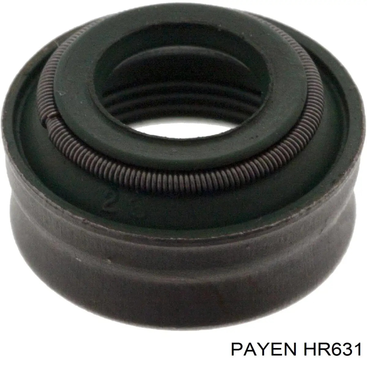 HR631 Payen