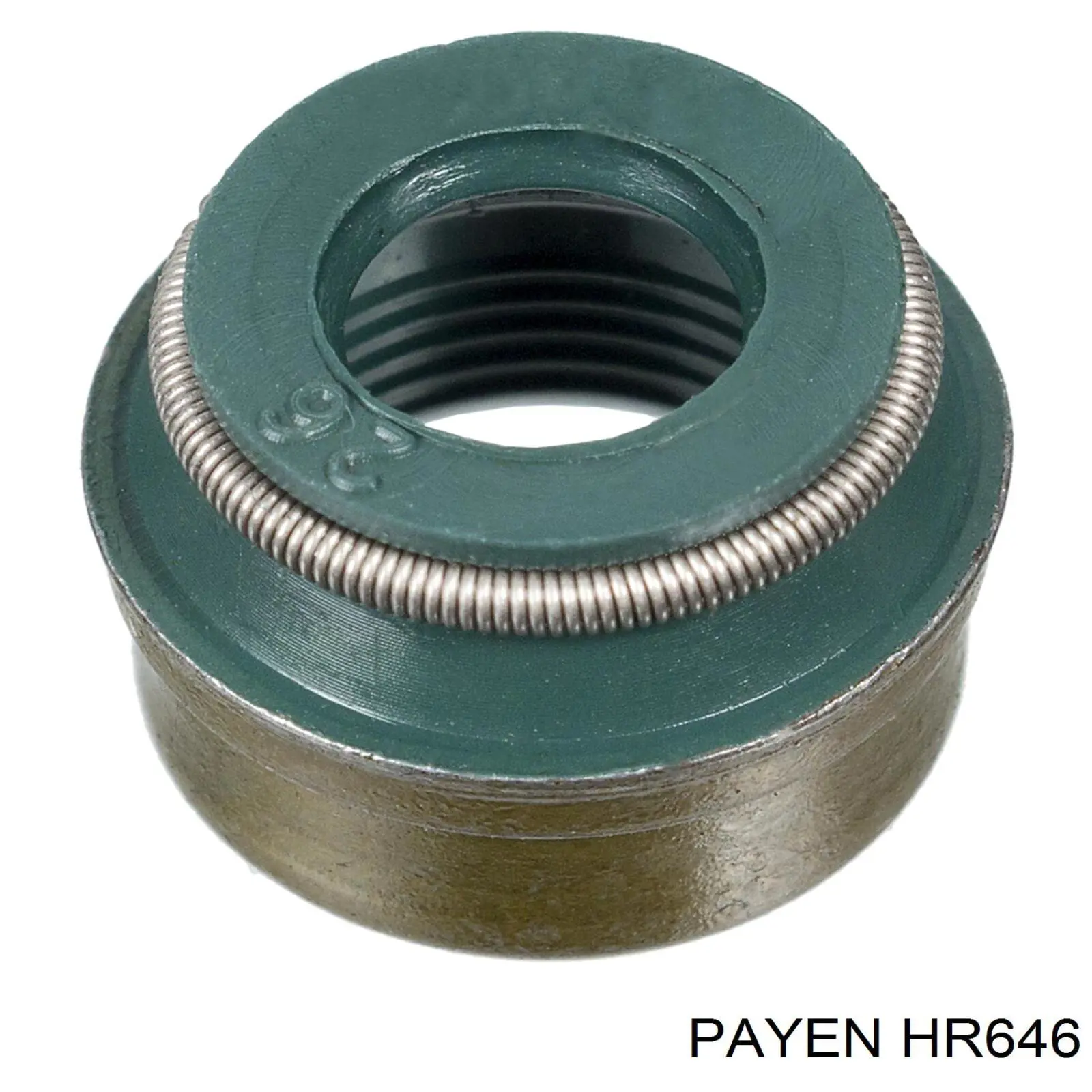 hr646 Payen сальник клапана (маслосъемный, впуск/выпуск, комплект на мотор)