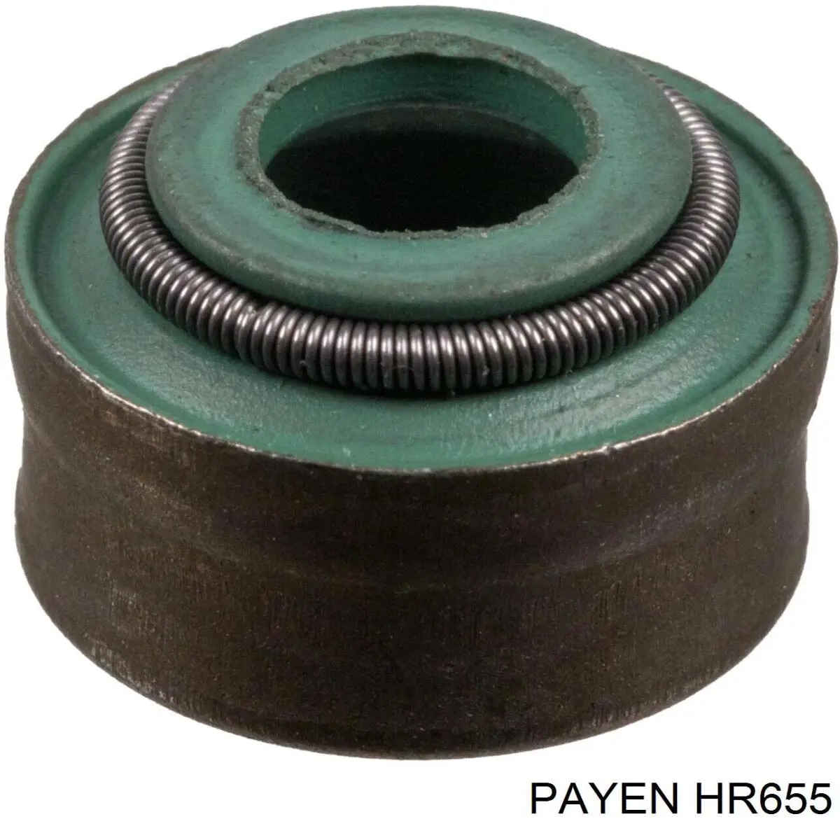 HR655 Payen