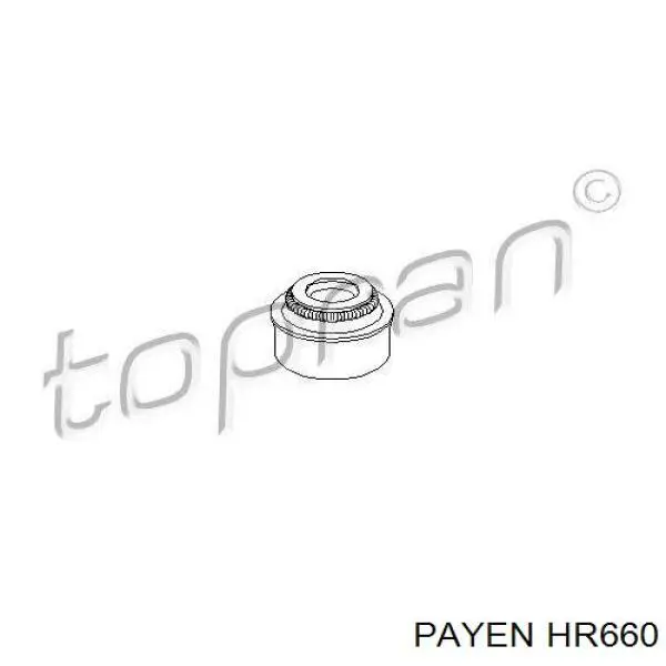 HR660 Payen сальник клапана (маслосъемный, впуск/выпуск, комплект на мотор)