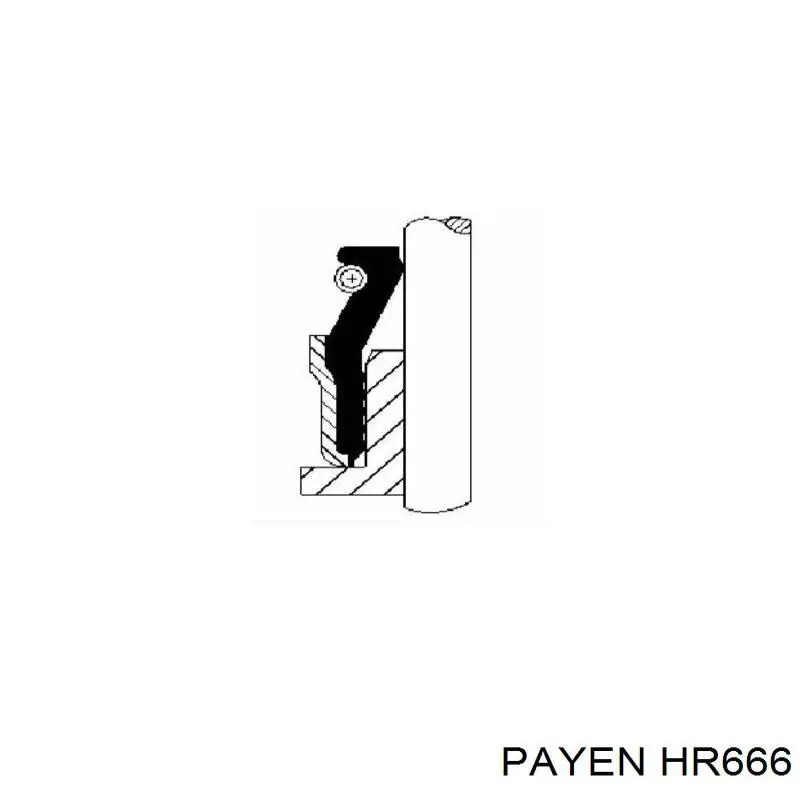 HR666 Payen комплект прокладок двигателя полный