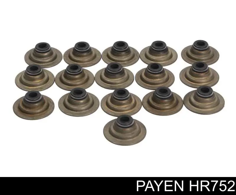HR752 Payen сальник клапана (маслосъемный, впуск/выпуск, комплект на мотор)