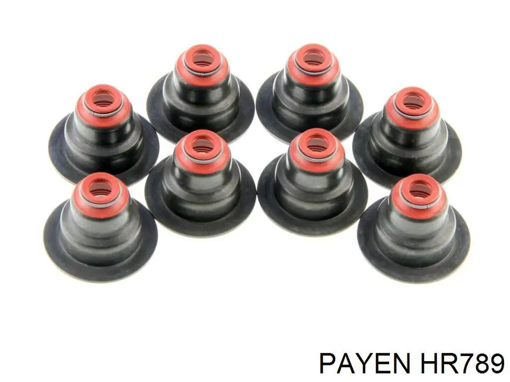 HR789 Payen сальник клапана (маслосъемный, впуск/выпуск, комплект на мотор)