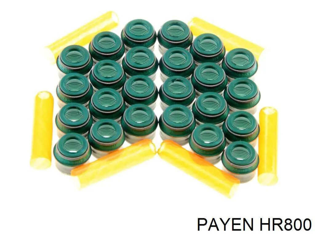 HR800 Payen