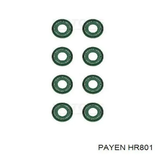 HR801 Payen сальник клапана (маслосъемный, впуск/выпуск, комплект на мотор)
