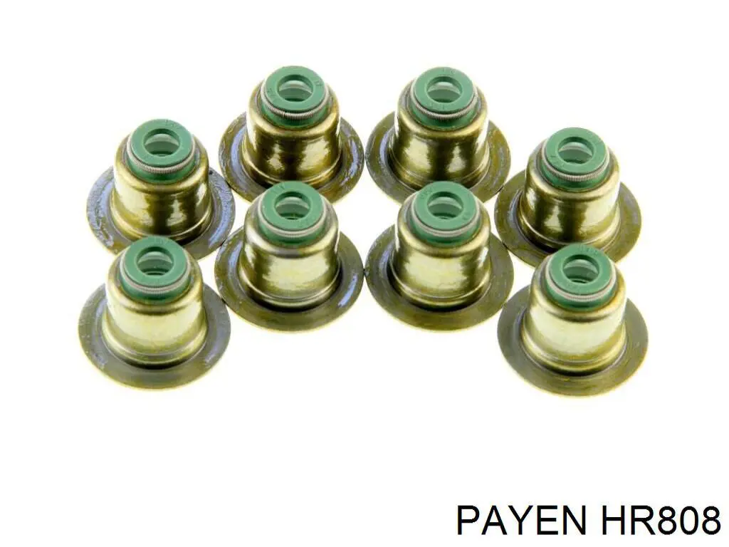HR808 Payen сальник клапана (маслосъёмный впускного, комплект)
