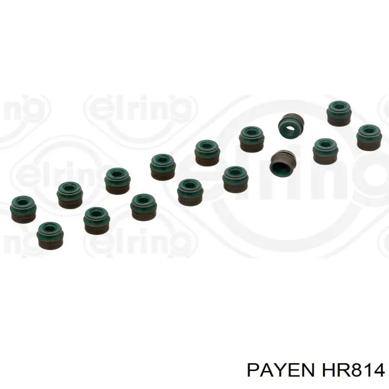 HR814 Payen сальник клапана (маслосъемный, впуск/выпуск)