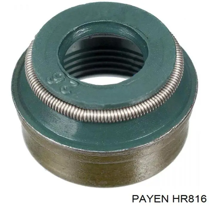 HR816 Payen сальник клапана (маслосъемный, впуск/выпуск, комплект на мотор)