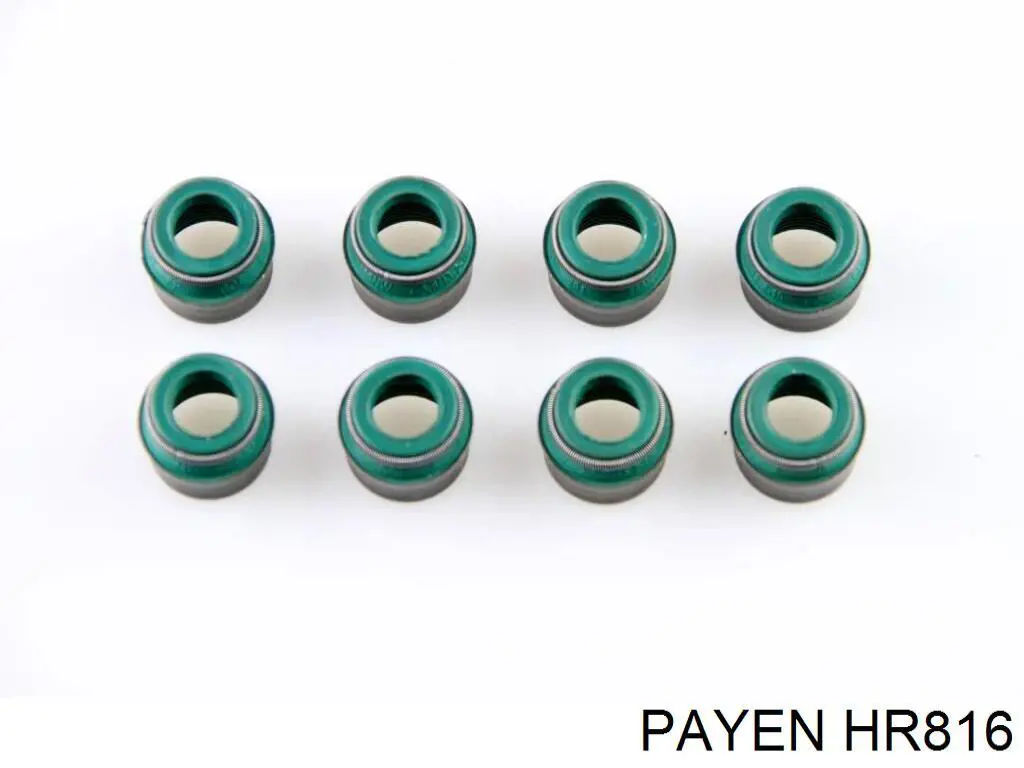 HR816 Payen