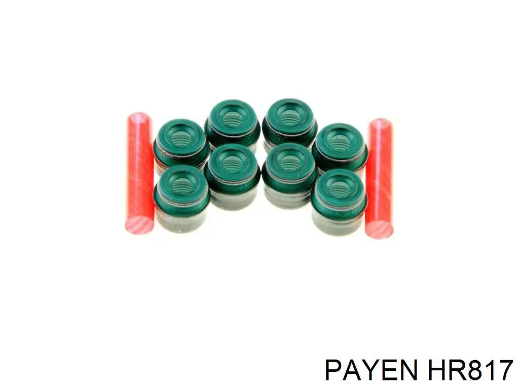 HR817 Payen сальник клапана (маслосъемный, впуск/выпуск, комплект на мотор)