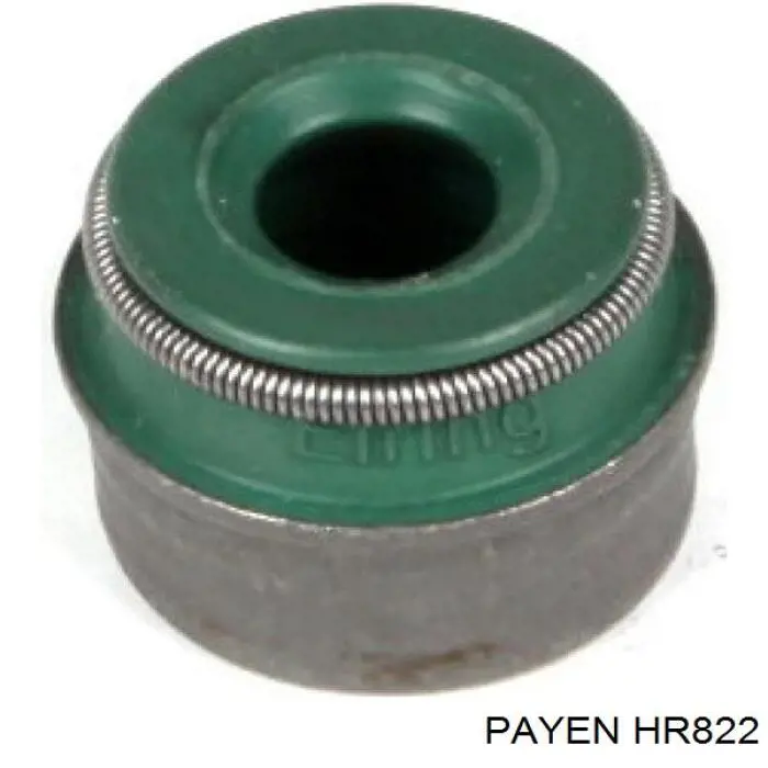 HR822 Payen сальник клапана (маслосъемный, впуск/выпуск, комплект на мотор)