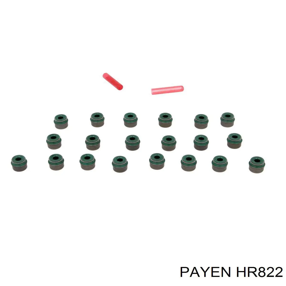 HR822 Payen