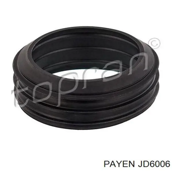 JD6006 Payen