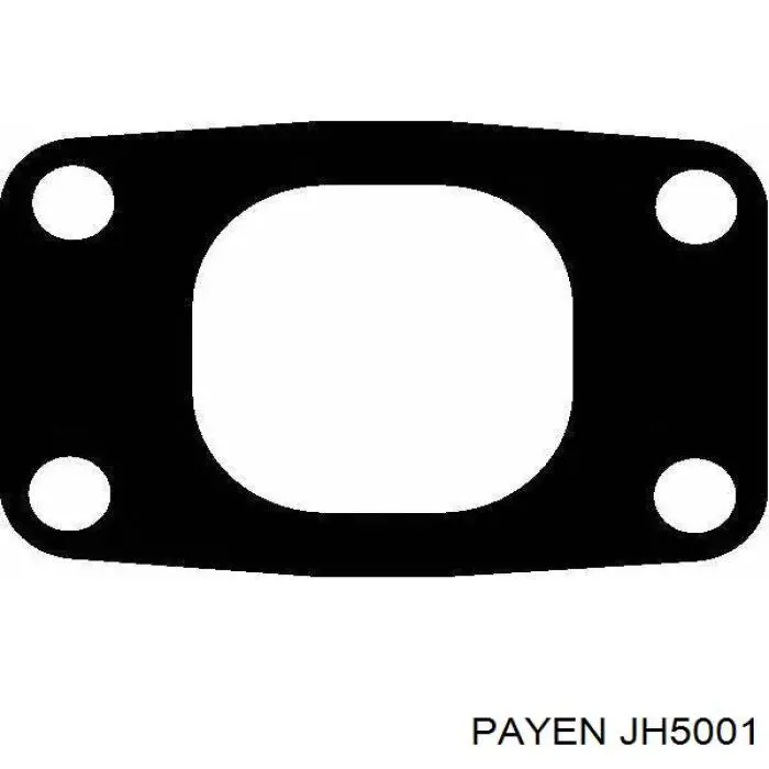  JH5001 Payen