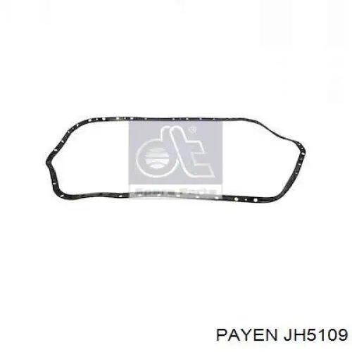 JH5109 Payen