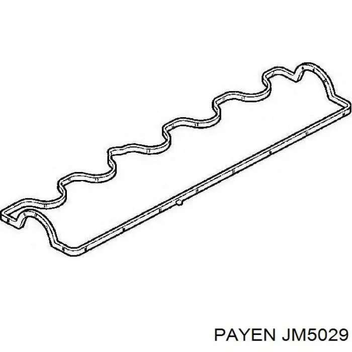 JM5029 Payen прокладка клапанной крышки