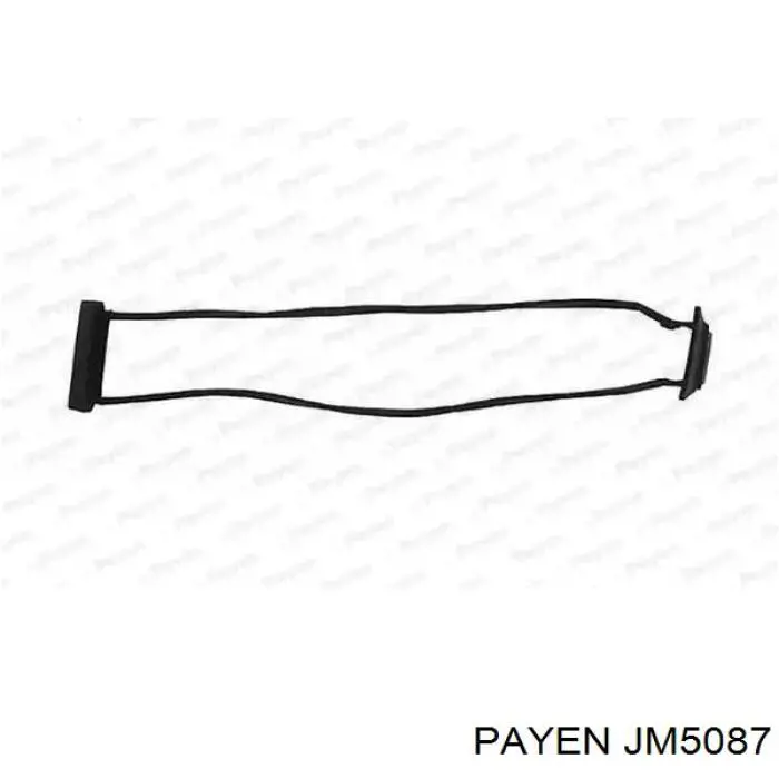 Купить JM5087 Payen Прокладка клапанной крышки двигателя