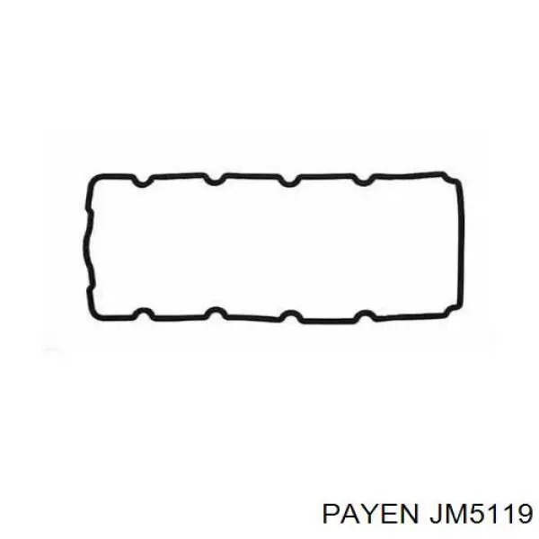 Прокладка клапанной крышки JM5119 Payen