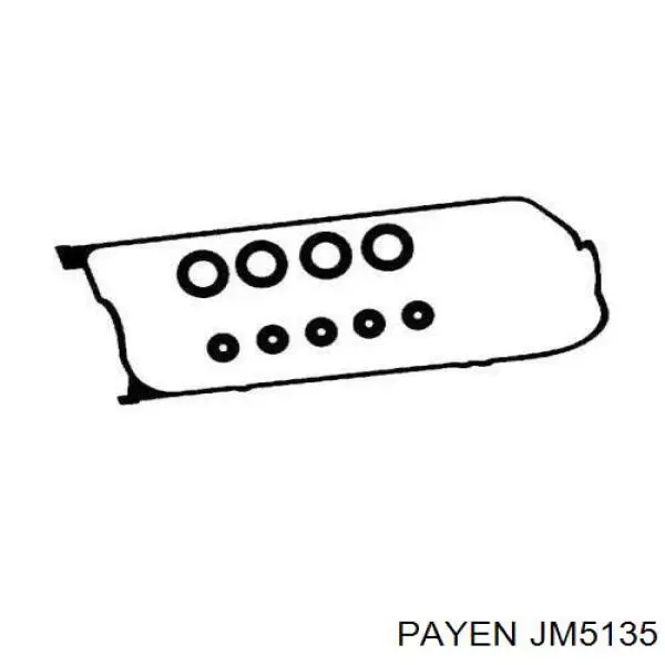 JM5135 Payen прокладка клапанной крышки двигателя, комплект
