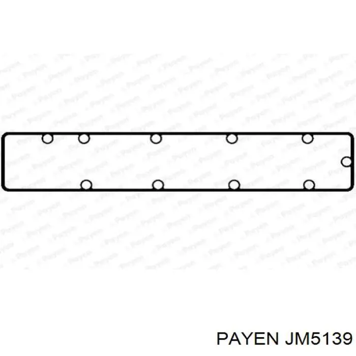 JM5139 Payen прокладка клапанной крышки двигателя левая