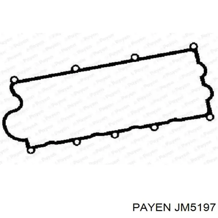 Купить JM5197 Payen Прокладка клапанной крышки двигателя