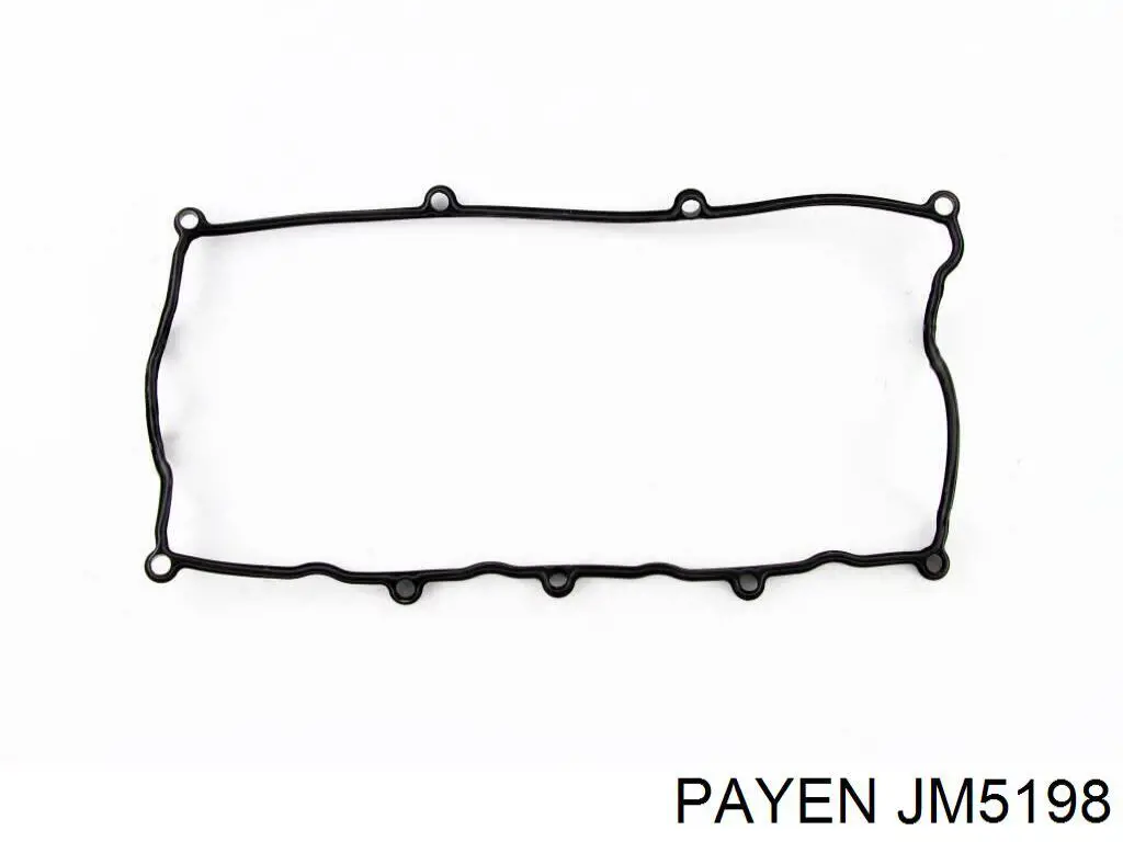 JM5198 Payen прокладка клапанной крышки