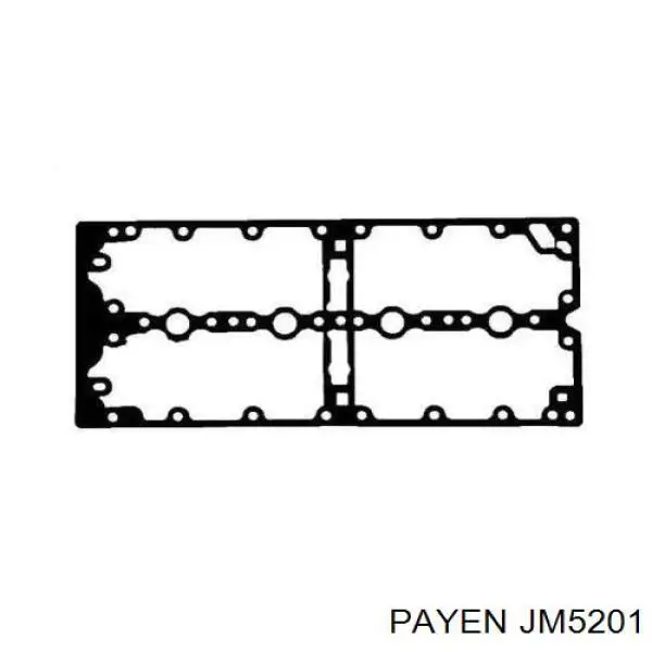 JM5201 Payen прокладка клапанной крышки