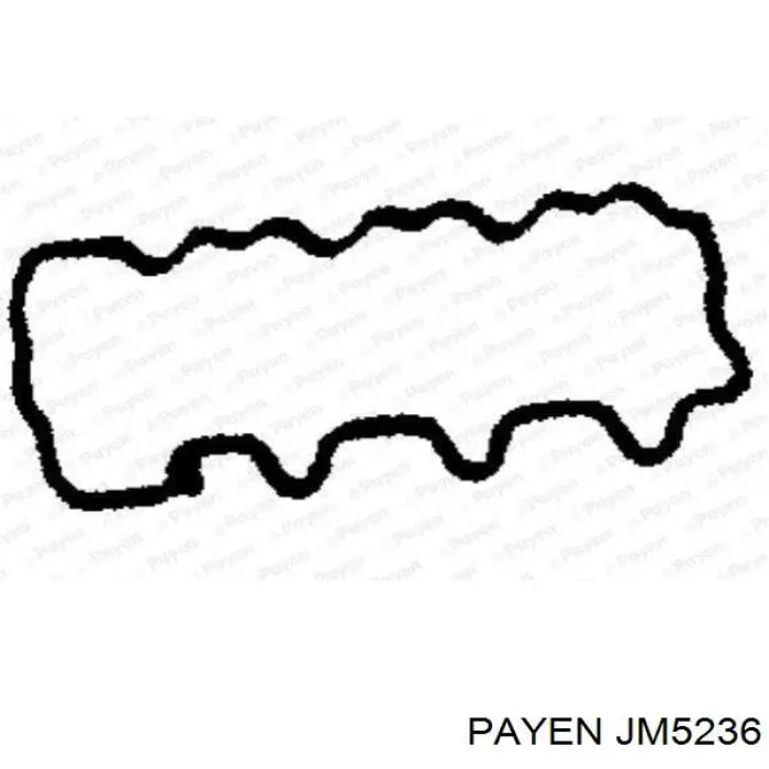 JM5236 Payen
