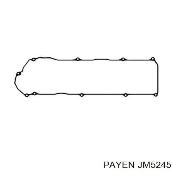 JM5245 Payen прокладка клапанной крышки двигателя