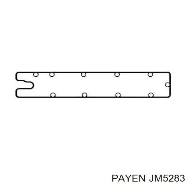 Прокладка клапанной крышки двигателя правая Payen JM5283