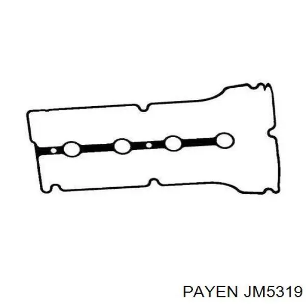 Прокладка клапанной крышки JM5319 Payen